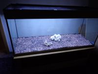 Aquarium 240Liter + div. Zubehör mit LED Nordrhein-Westfalen - Rödinghausen Vorschau