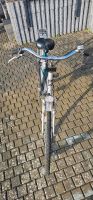 Damen Fahrrad 27 Zoll Rheinland-Pfalz - Großmaischeid Vorschau