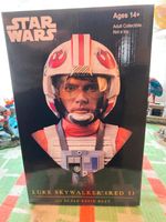 SW IV 3D Pilot Luke Skywalker 1/2 Bust Neu & OVP Brandenburg - Cottbus Vorschau