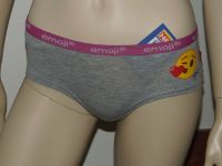 Emoji Hipster Slip Hose Gr.S Grau Bunt String Höschen NEU Brandenburg - Forst (Lausitz) Vorschau