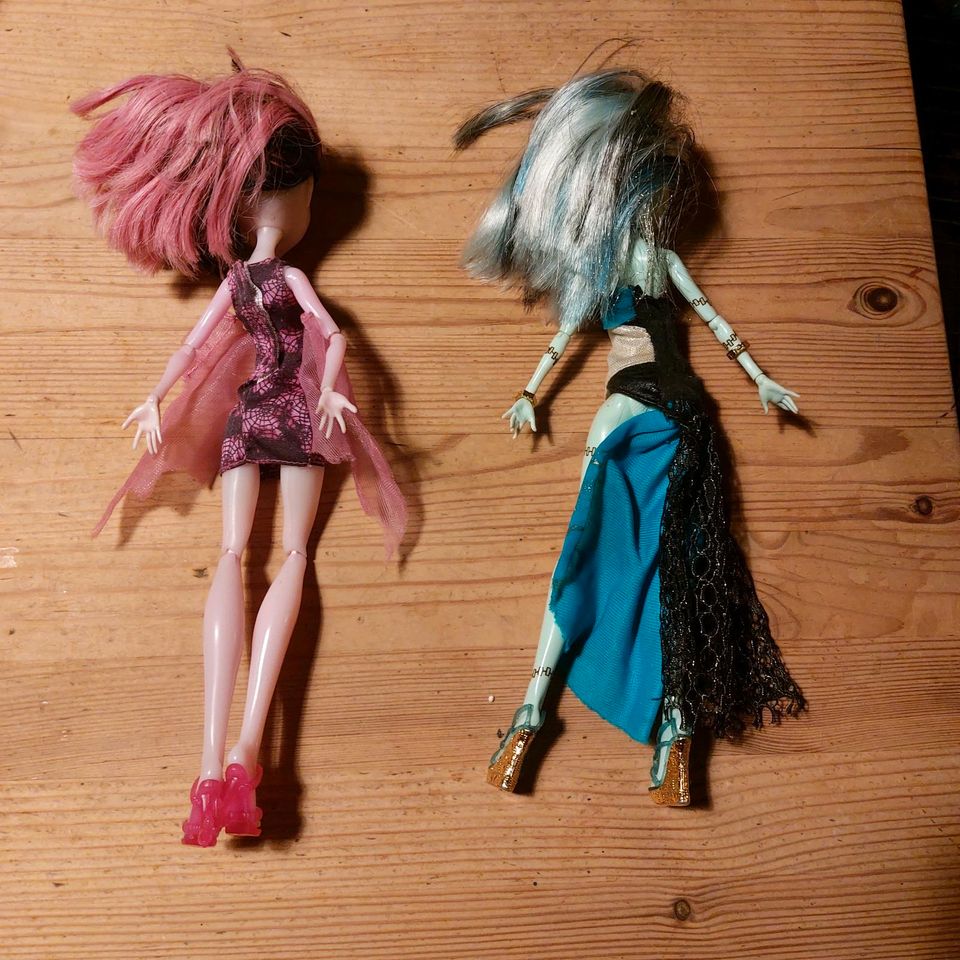 2 x Monster High komplett in Wittlich