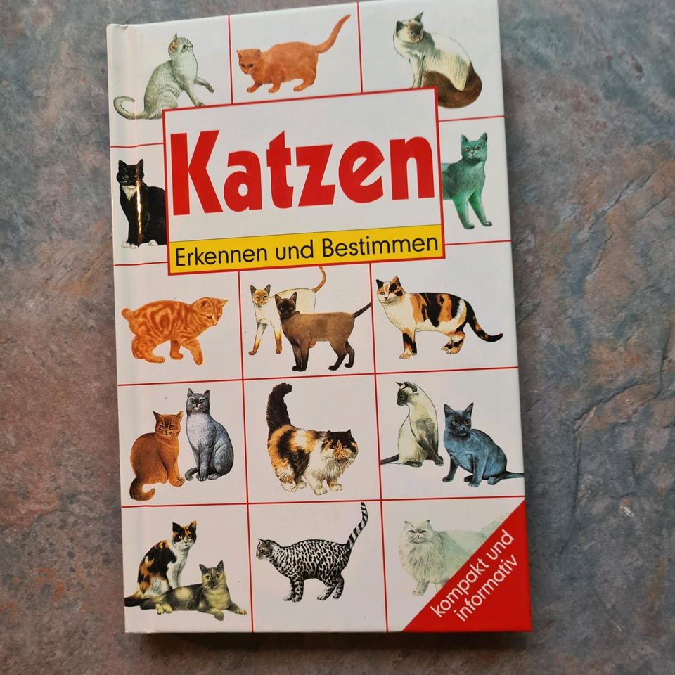 Hund Katze Wein Witz Bücher sortiert ab 5,00€ Neu unbelesen in Starsiedel