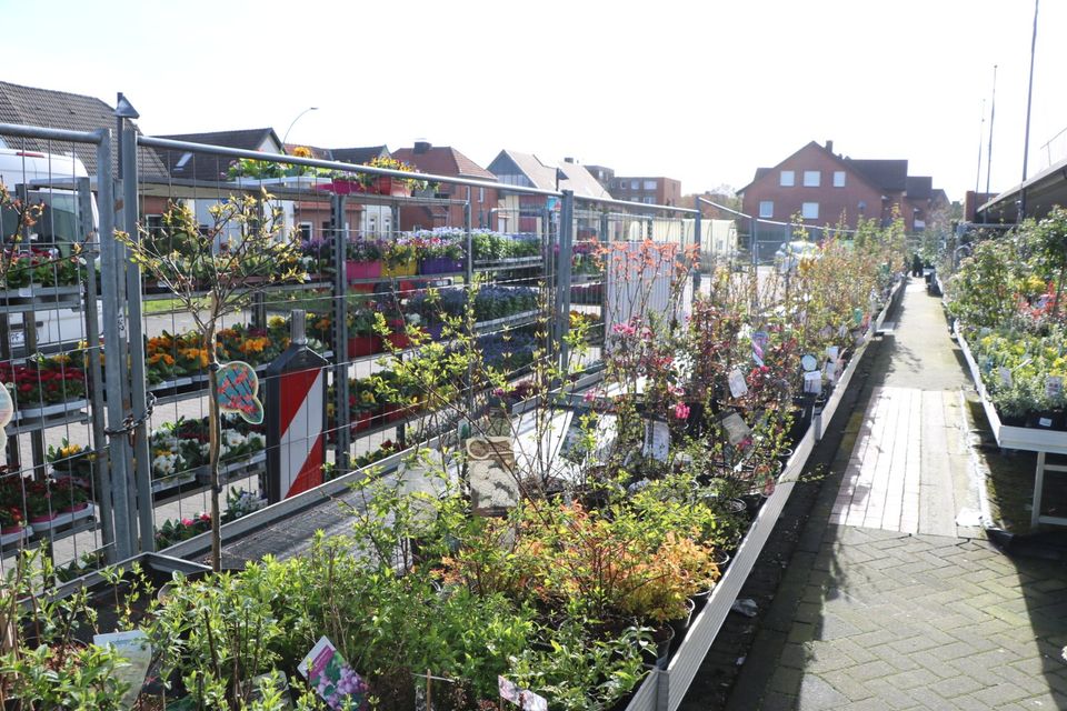 KassiererIn, VerkäuferIn, GärtnerIn, Hausmeister, Reinigungskraft in Steinfurt