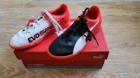 Puma evospeed Turnschuhe Fußballschuhe Gr. 35 Niedersachsen - Wildeshausen Vorschau