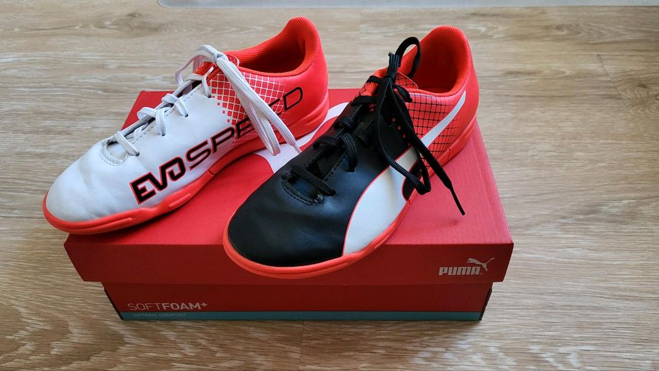 Puma evospeed Turnschuhe Fußballschuhe Gr. 35 in Wildeshausen