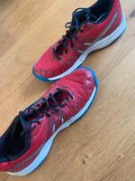 ASICS Sportschuhe Größe 39,5 Brandenburg - Glienicke/Nordbahn Vorschau