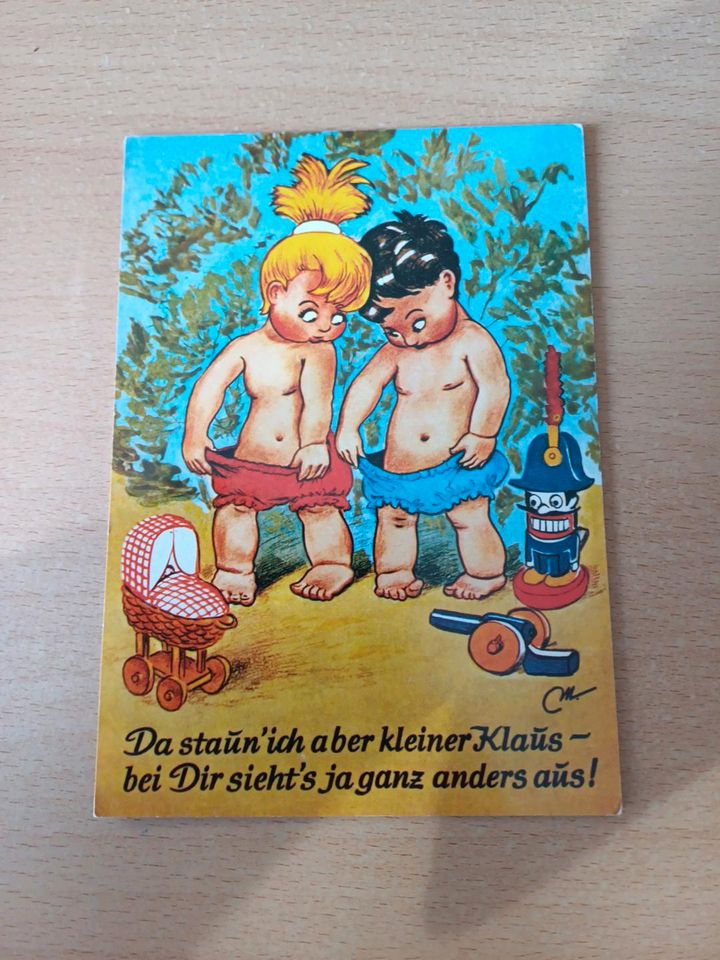 Ansichtskarten-Postkarten Humor 2 Stück in Bad Bramstedt