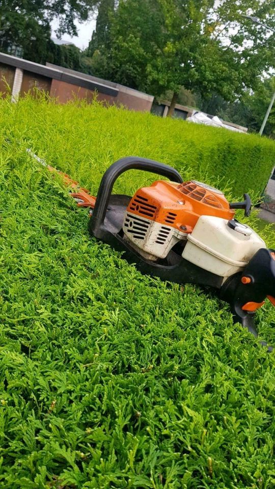 Hecke schneiden auch nach Februar möglich Heckenschnitt Pflege in Bedburg-Hau