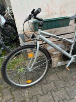 Fahrrad von Fischer Berlin - Neukölln Vorschau