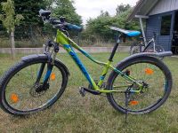 X-TRACT XHD-650 Kinder Mountainbike 27,5 Zoll Bayern - Schondra Vorschau