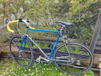 Gazelle Rennrad Champion Mondial, Shimano, 22 Zoll  Rahmen 56 Baden-Württemberg - Bietigheim-Bissingen Vorschau