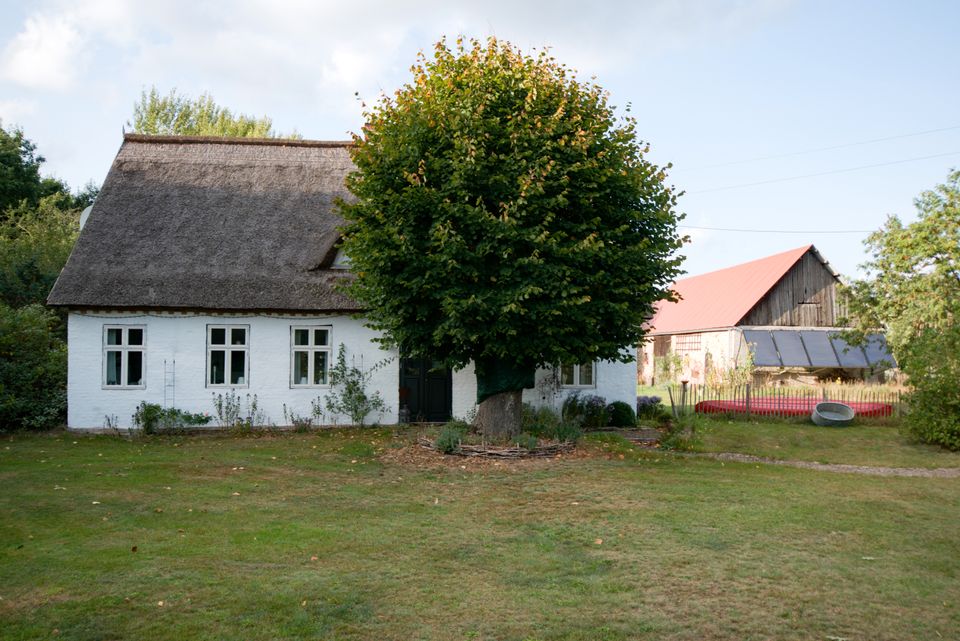 Top-saniertes Bauernhaus, Pferdestall & Koppel 60.000 m² in Luckow (bei Torgelow)