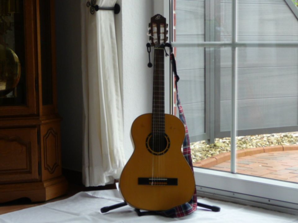 Gitarre Ortega in Hage