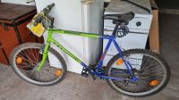 Kawasaki MTB Mountainbike Fahrrad 26Zoll Baden-Württemberg - Pfedelbach Vorschau