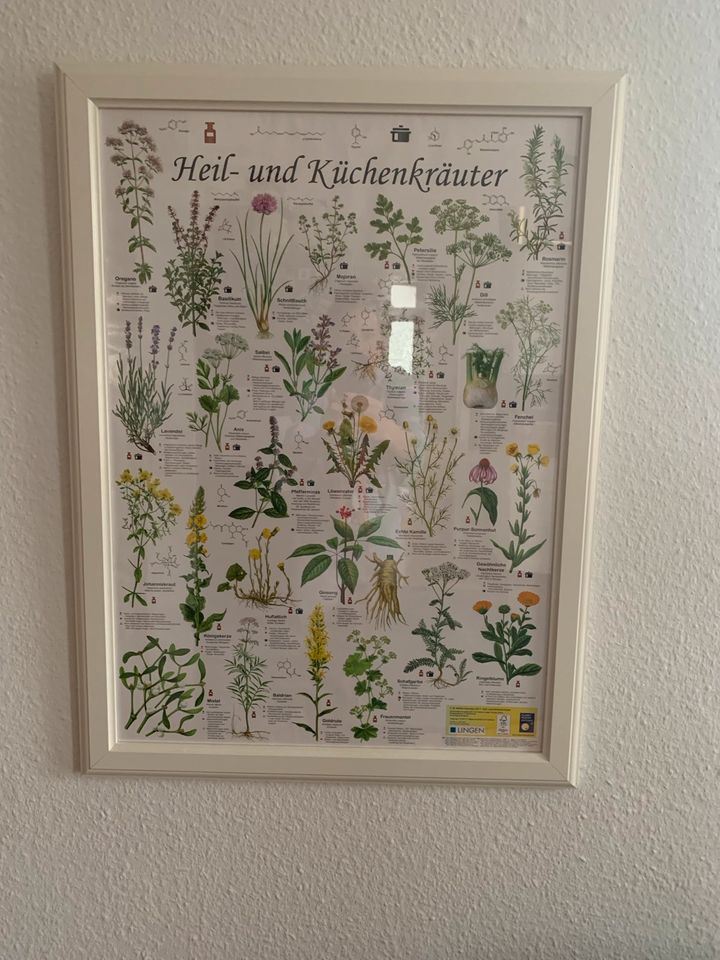 Bilder mit Pflanzen und Bäumen Motiven in Walldorf