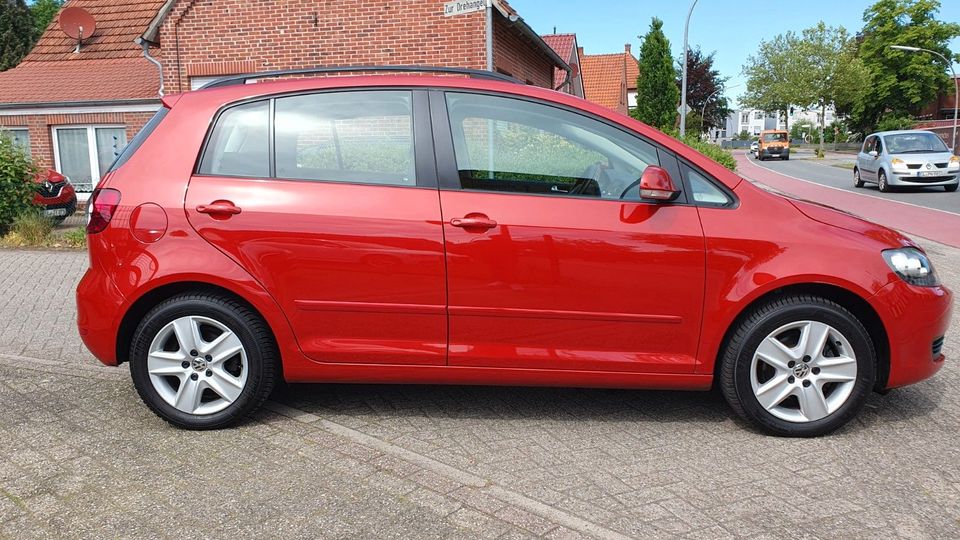 Volkswagen Golf Plus VI  Comfortline in Lingen (Ems)