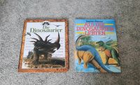 2x Buch Dinosaurier Schleswig-Holstein - Hennstedt bei Itzehoe Vorschau