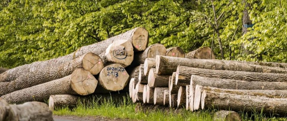 Forstliche Dienstleistungen,Hausmeisterdienst und Brennholzhandel in Harzgerode