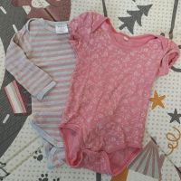 Babybody 62 Dresden - Cotta Vorschau