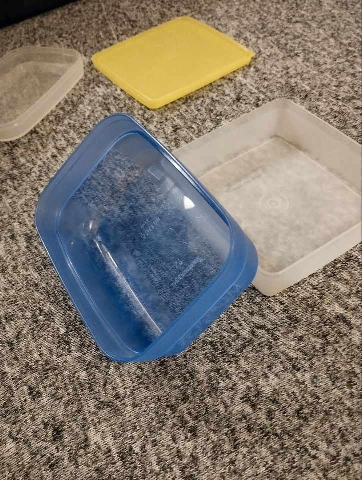 2x Tupperware Tupper Behälter Swing Box und Kühlschrank System in Lollar