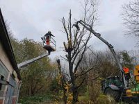 Baumfällung / Rodung / Baumdienst Dortmund - Grevel Vorschau