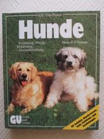 Hunde Erziehung Pflege Ernährung Gesunderhaltung von Ullmann Bayern - Hösbach Vorschau