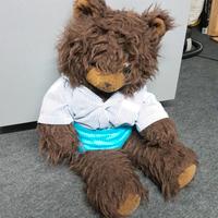 Teddy groß DDR-ZEITEN Brandenburg - Ludwigsfelde Vorschau