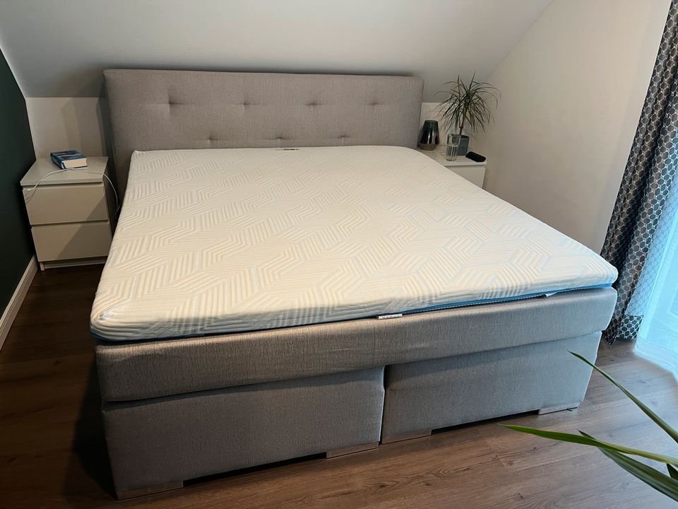 Boxspringbett - 180/200 cm in Beige in Thomasburg