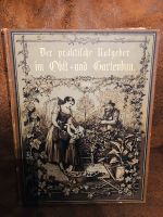 Der Praktische Ratgeber im Obst u. Gartenbau 1904 Baden-Württemberg - Sinsheim Vorschau