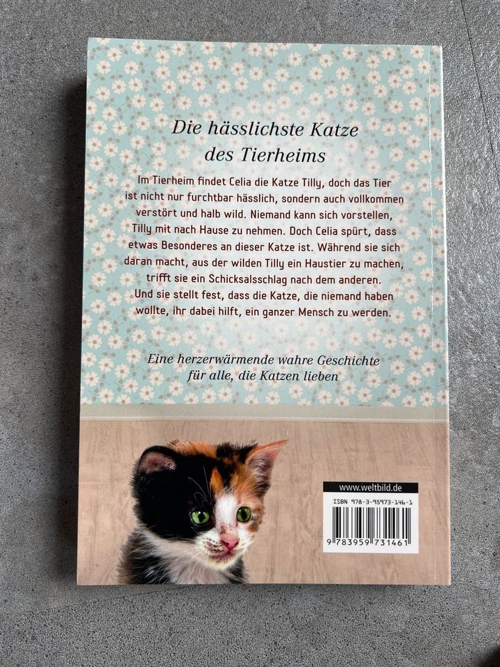 Sammlung Katzen Romane, James Bowen, Ein Geschenk von Bob usw. in Gundersheim
