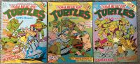 Teenage Mutant Hero Turtles Comic-Magazin 18, 24, 38 Hessen - Wöllstadt Vorschau