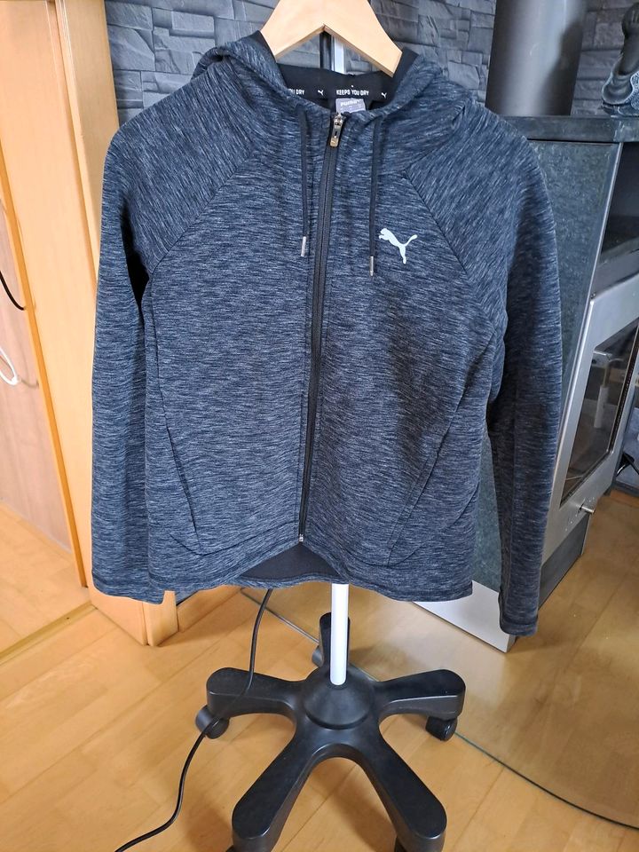 Puma Jacke!!! Neuwertig!!! Gr. M in Homberg (Efze)