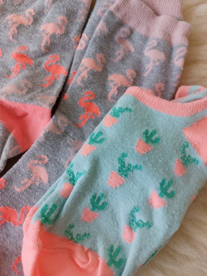 Socken 38-40☆ Hema Kaktus Flamingo 3 Paar Set zu 1€ in Wuppertal