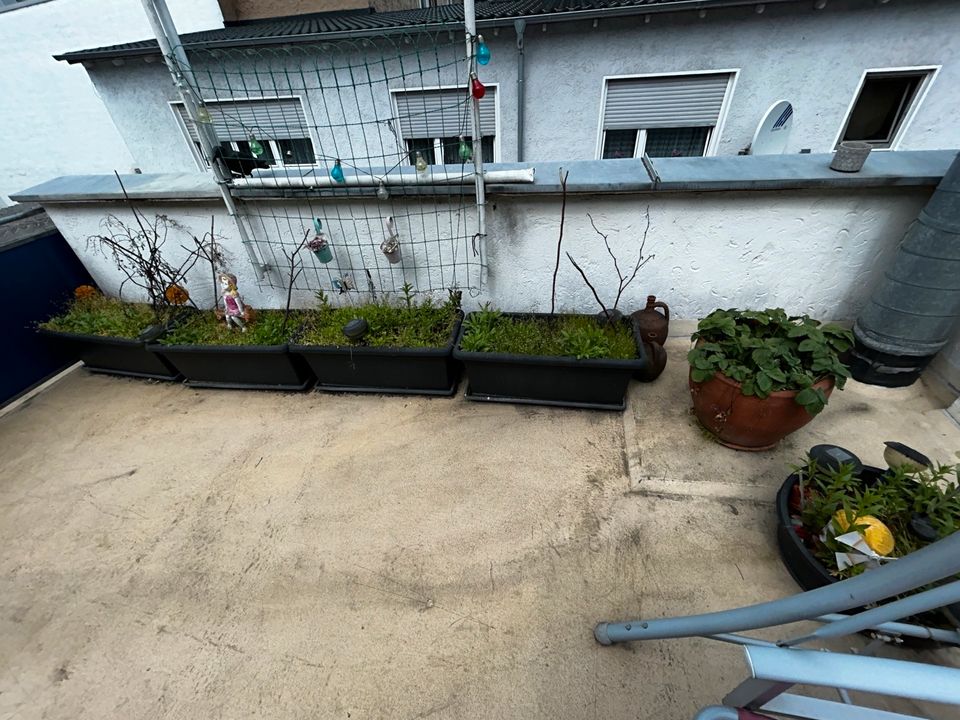 6x Gartenkasten anzuchtkasten box in Hanau