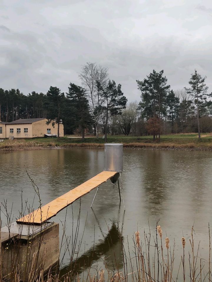 Futterautomat für Fische, Karpfen, Forellen, Enten in Hilpoltstein