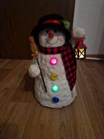 Frosty der Schneemann singt und Leuchtet das gibt es nicht mehr Bayern - Triefenstein Vorschau