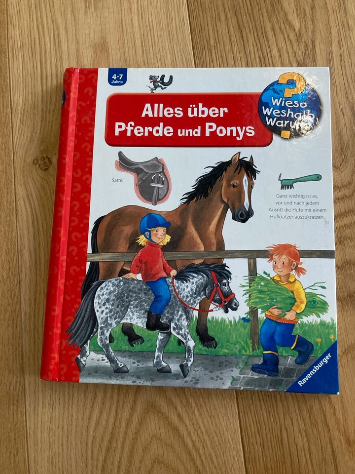 Wieso weshalb warum Alles über Pferde und Ponys Buch, top in Haßloch