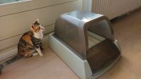 Automatische Katzentoilette Petsafe Mitte - Moabit Vorschau