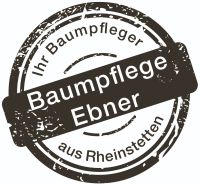 Baumpflege Karlsruhe, Baumarbeiten, Baumfällungen, Gutachten Baden-Württemberg - Rheinstetten Vorschau