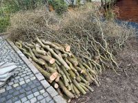 Holz an Selbstabholer zu verschenken! Nordrhein-Westfalen - Delbrück Vorschau