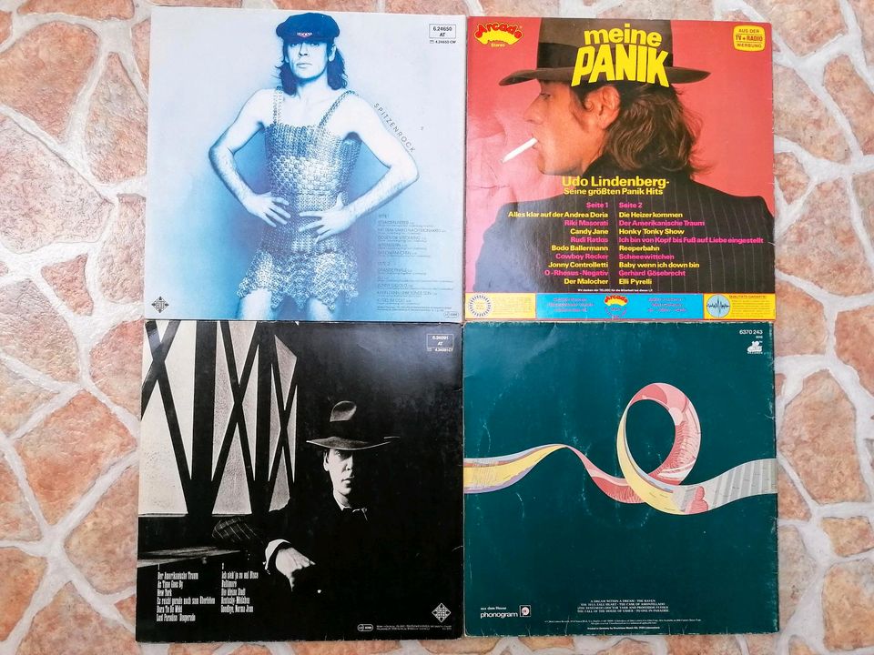 Schallplatten LP's Vinyl Udo Lindenberg, The Alan Parsons Project in Schlitz