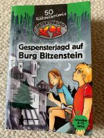 Ratekrimis, Gespensterjagdauf Burg Blitzenstein Niedersachsen - Friedland Vorschau