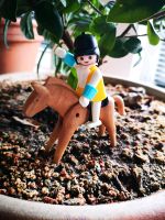 Playmobil Pferd mit Reiterin Bad Doberan - Landkreis - Kühlungsborn Vorschau