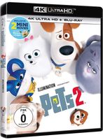 4K Ultra HD (+ Blu-ray 2D) / PETS 2 / Kinderfilm animiert Minions Niedersachsen - Weyhe Vorschau