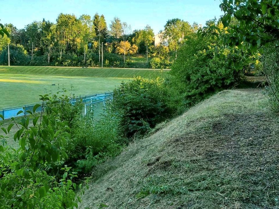 Ferngesteuerte Mähraupe Allradmäher zu vermieten in Laichingen