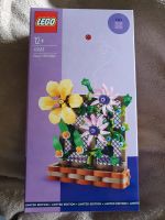 Lego 40683  Blumen Rankgitter NEU  Limited Edition Hessen - Wolfhagen  Vorschau