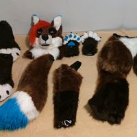 Fursuit Furrysuit Maskottchen Fuchs Nordrhein-Westfalen - Warburg Vorschau