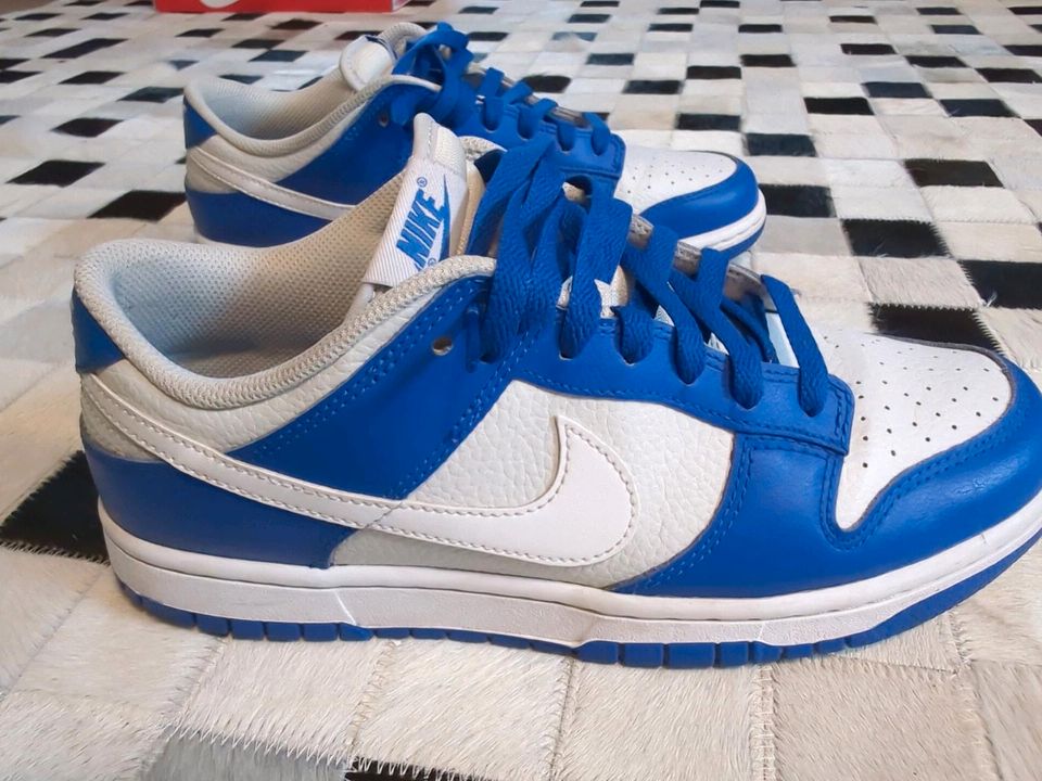 Nike Dunk Low FN3416-001 PHOTON DUST/WHITE/RACER BLUE  Gr. 42 in Düsseldorf