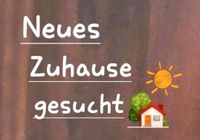 Nette, mit anpackende Familie sucht ein neues Zuhause in Olpe Nordrhein-Westfalen - Wenden Vorschau