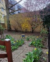 Wunderschöne 2 Raumwohnung mit großem Garten für Gartenfreunde Sachsen-Anhalt - Magdeburg Vorschau